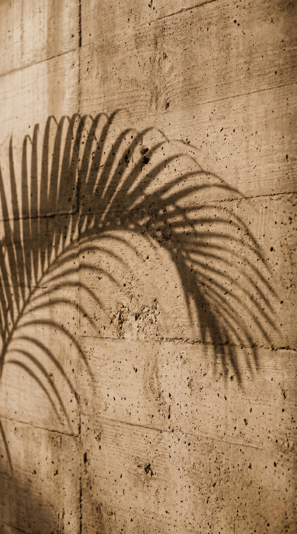 Diseño Arquitectonico 3 - Arqtia - Banner